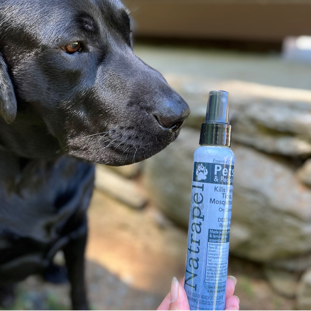 Natrapel Essential Oil Insect Repellent 4 oz. - Pets & People