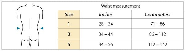 BackPlus LSO Back Brace - L0648 - Wealcan